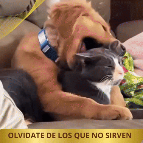 Guante PetClean Quita Pelo Fácil